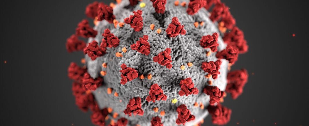 Non, le Covid-19 n’est pas terminé – AFC