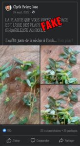 img-20230419-wa0012-164x300-6689012