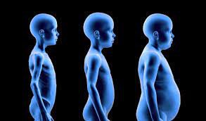 Ce que vous devez savoir sur la malnutrition