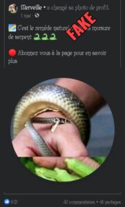 img-20230515-wa0012-181x300-4639722