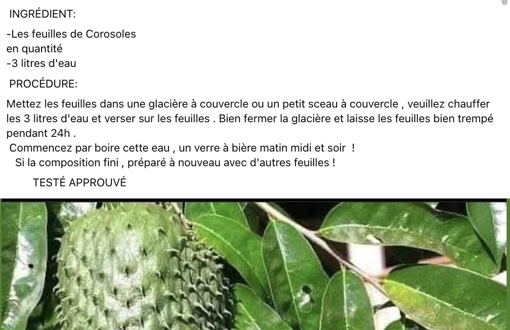 C’est faux : les feuilles de corossol ne permettent pas de guérir les maladies de la prostate