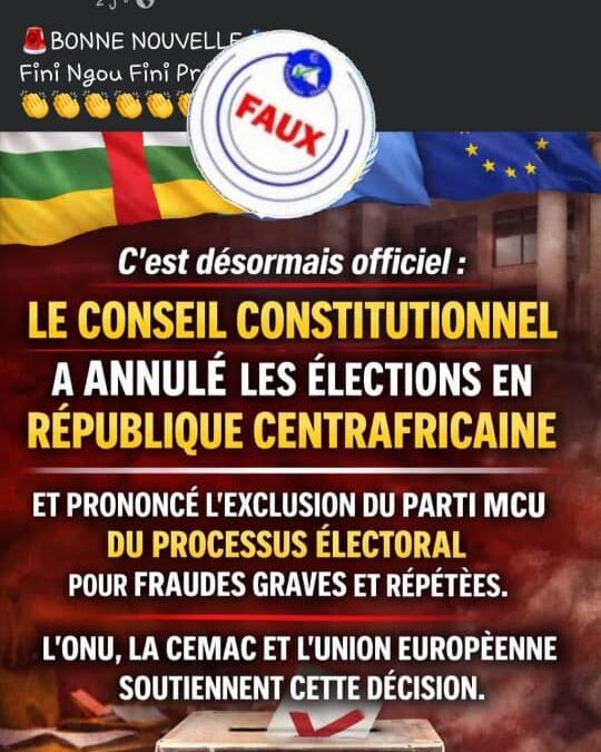 Faux, Le Conseil constitutionnel n’a  pris aucune décision d’annulation des élections 